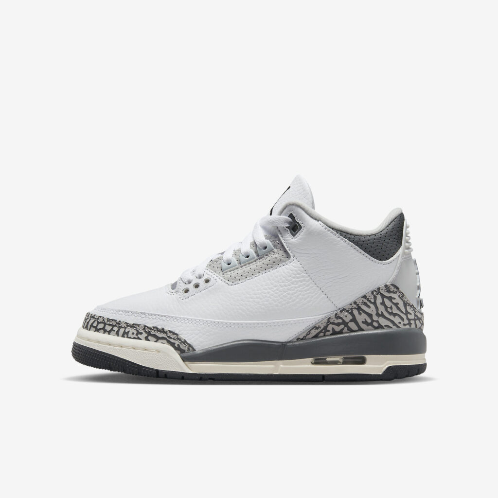 Air Jordan 3 “Hide N Sneak” (GS)