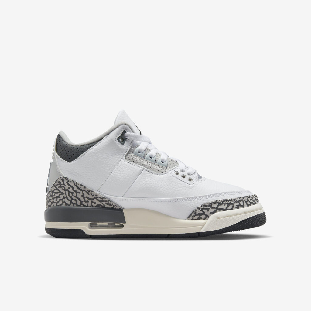 Air-Jordan-3-Hide-N-Sneak-GS3.jpg