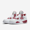 Air-Jordan-4-Retro-Alternate-894.jpg