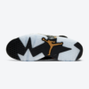 Air-Jordan-6-DMP6.png
