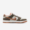 Crushed Skate X Nike SB Dunk Low2
