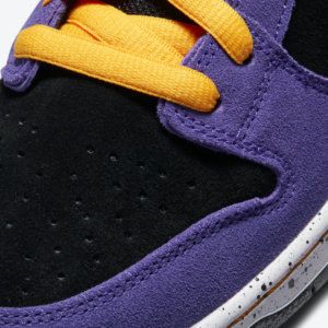 Nike SB Dunk Low 'ACG'6