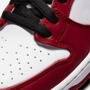 Nike SB Dunk Low “Chicago”6