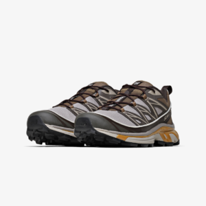 Salomon XT-6 Expanse 'Feather Grey Golden Oak'1