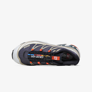 Salomon XT 6 'India Ink Safari'5