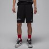 Jordan Double Logo Shorts1