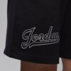 Jordan Double Logo Shorts6