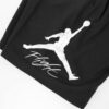 Jordan Side Logo Shorts Black4