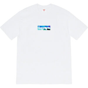 Supreme Emilio Pucci Box Logo Tee