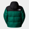 The North Face 1996 Retro Nuptse Jacket ‘TNF Green'1