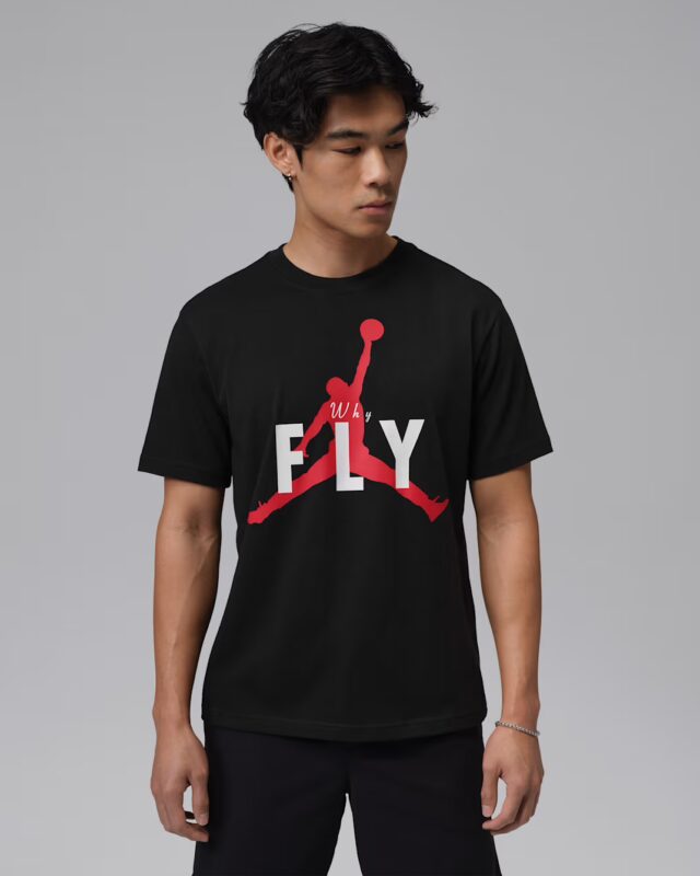 Nike Jordan Sport Dri-FIT «Why FLY» Tee Black