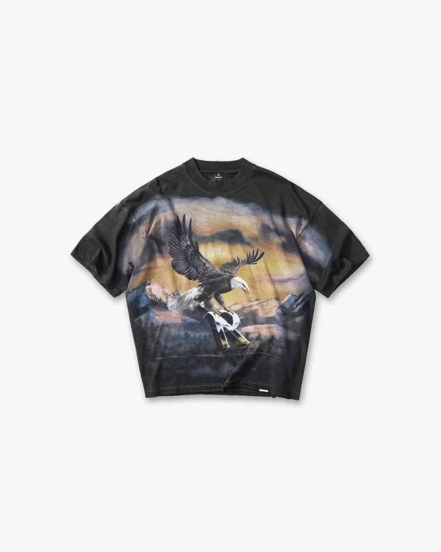 Represent Chrome Flight T-Shirt Stained Black